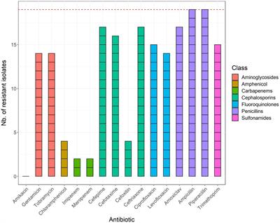 Whole-Genome Sequencing-Based Antimicrobial Resistance Characterization and Phylogenomic Investigation of 19 Multidrug-Resistant and Extended-Spectrum Beta-Lactamase-Positive Escherichia coli Strains Collected From Hospital Patients in Benin in 2019